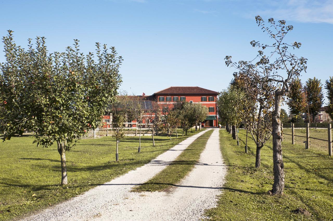 Ca' Ciaran Bed & Breakfast Chiarano Luaran gambar