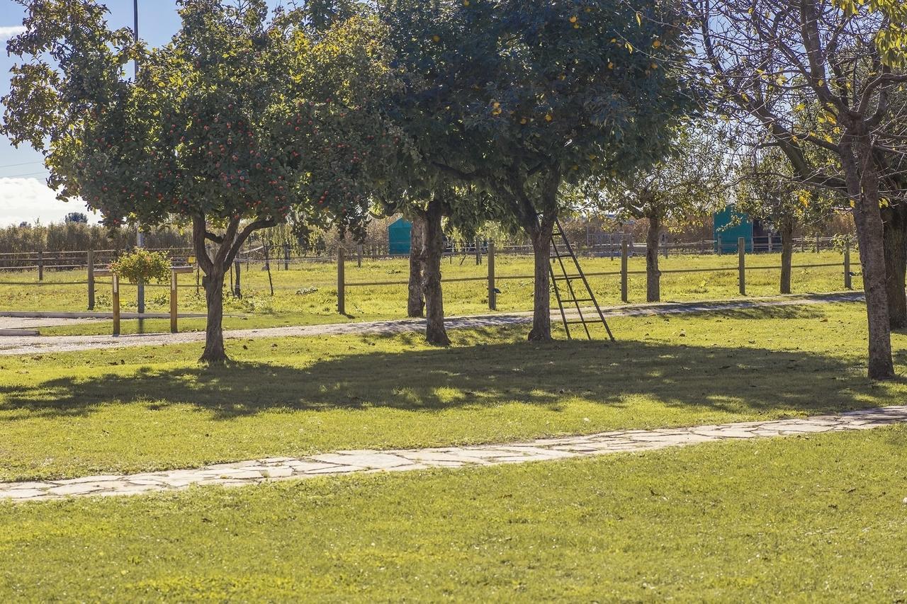Ca' Ciaran Bed & Breakfast Chiarano Luaran gambar