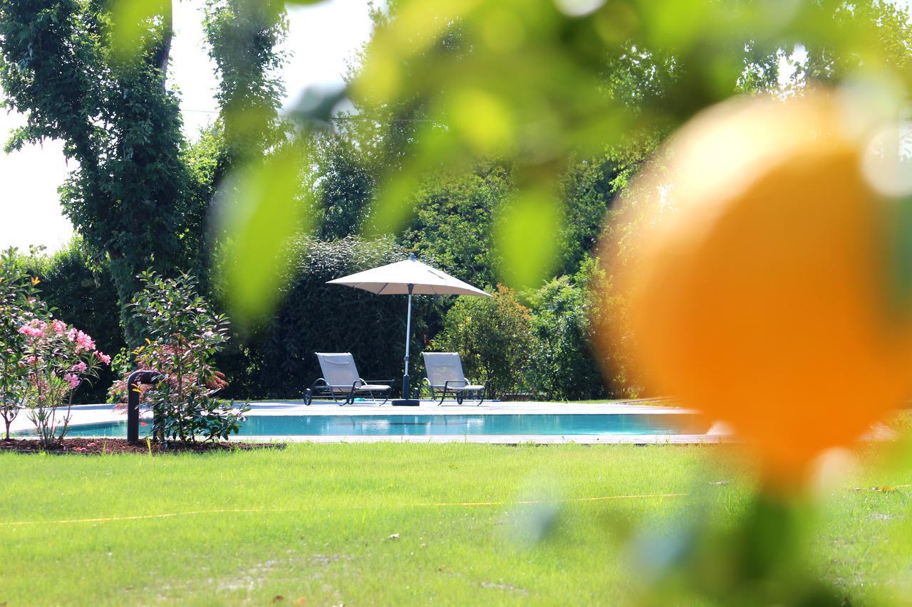 Ca' Ciaran Bed & Breakfast Chiarano Luaran gambar